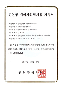 Preparation-level Social Enterprise